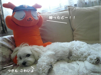 ふわふわ♪まるちーず