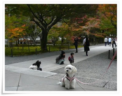 京都 