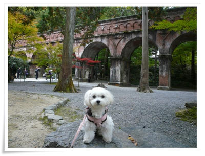 京都 