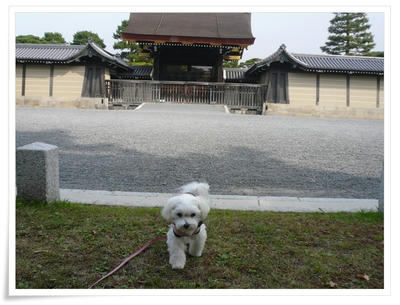 京都御苑