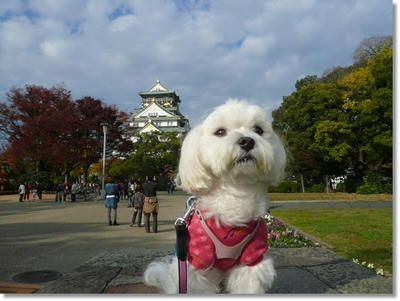 大阪城公園