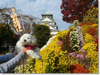 大阪城公園