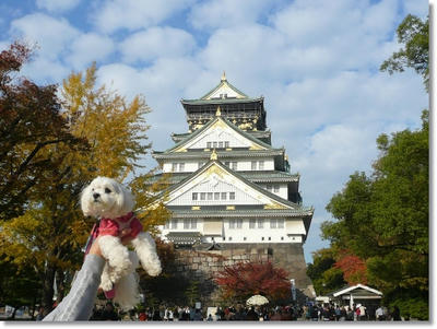大阪城公園