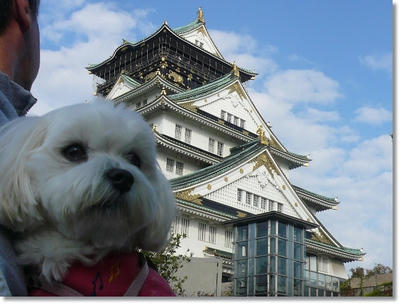 大阪城公園