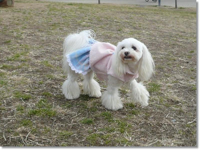 ふわふわ♪まるちーず