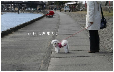伊勢旅行