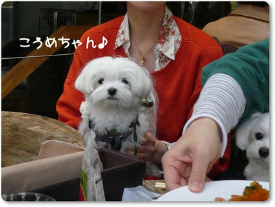 ふわふわ♪まるちーず