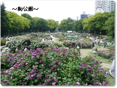utsubo