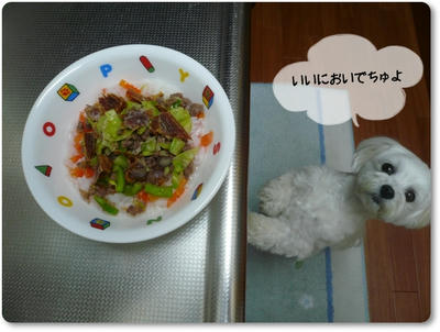 ゴハン