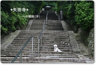 ふわふわ♪まるちーず