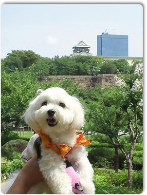 ふわふわ♪まるちーず