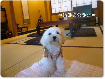 ふわふわ♪まるちーず