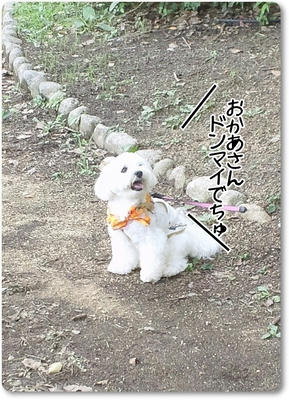 ふわふわ♪まるちーず