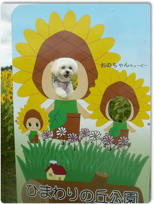 ふわふわ♪まるちーず