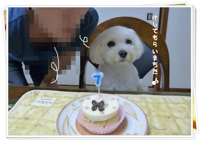 Happy  Birthday
