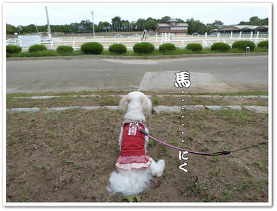 鶴見緑地