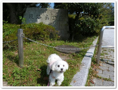 淡路島