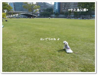 中之島公園
