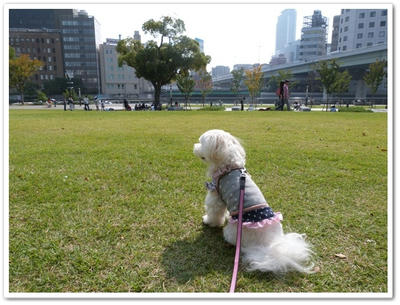 中之島公園