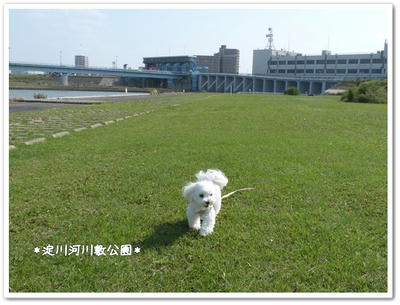 ふわふわ♪まるちーず