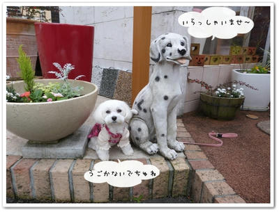 笠置山
