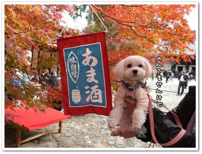 ふわふわ♪まるちーず