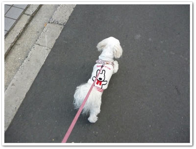 ふわふわ♪まるちーず