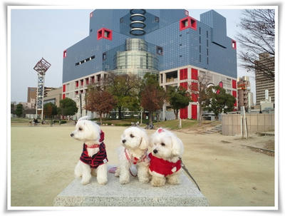 ふわふわ♪まるちーず