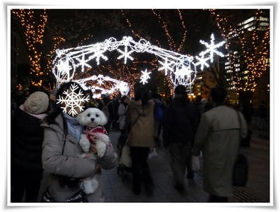 ふわふわ♪まるちーず