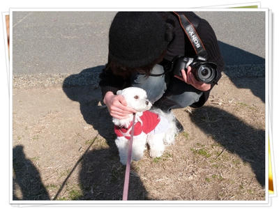 ふわふわ♪まるちーず