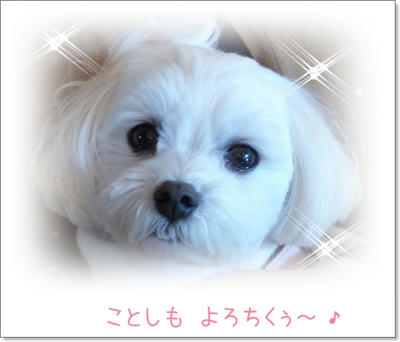 ふわふわ♪まるちーず