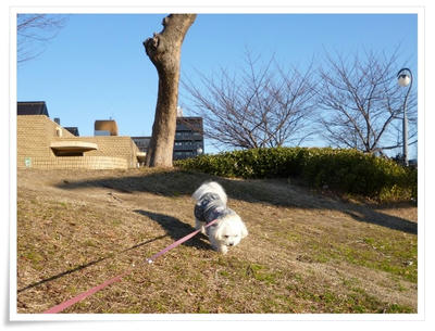 ふわふわ♪まるちーず