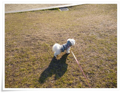 ふわふわ♪まるちーず