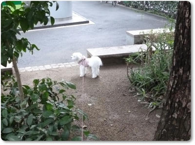 ふわふわ♪まるちーず