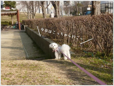 ふわふわ♪まるちーず