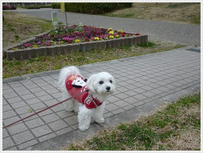 ふわふわ♪まるちーず