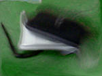 HNI_0020.JPG
