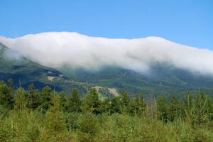 177b3337.JPG