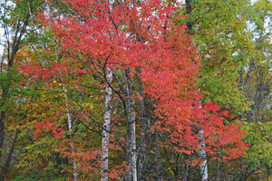 a47b3944.JPG