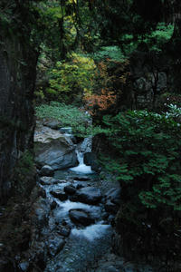 bd4198f5.JPG