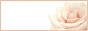 055446.gif