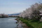 DSC00500.jpg