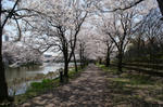 DSC00495.jpg