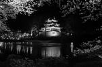 DSC00445.jpg