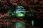 DSC00456.jpg