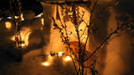 DSC00747.jpg