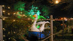DSC00786.jpg