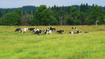 DSC00939.jpg