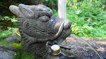 DSC00934.jpg
