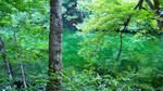 DSC00932.jpg